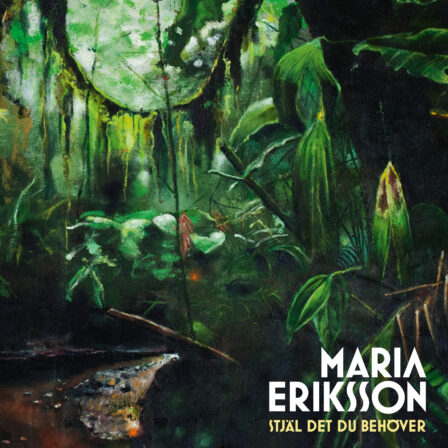 Teg022d Maria Eriksson Stjäl Det Du Behöver Album Omslag